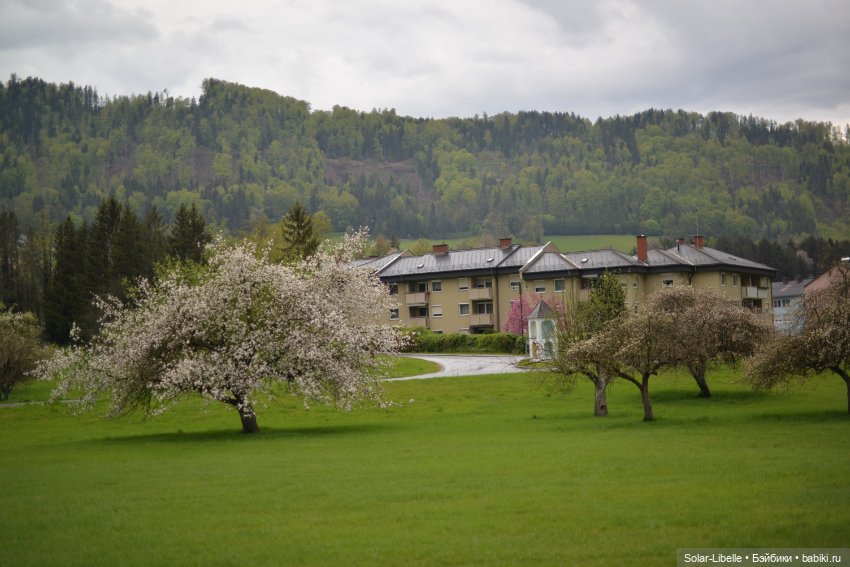 Весна. После дождя — Куклы Ruby Red (Руби Ред) Fashion Friends: Siblies (фото 7)