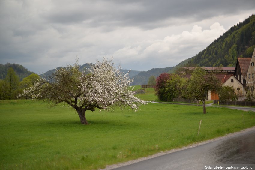 Весна. После дождя — Куклы Ruby Red (Руби Ред) Fashion Friends: Siblies (фото 2)