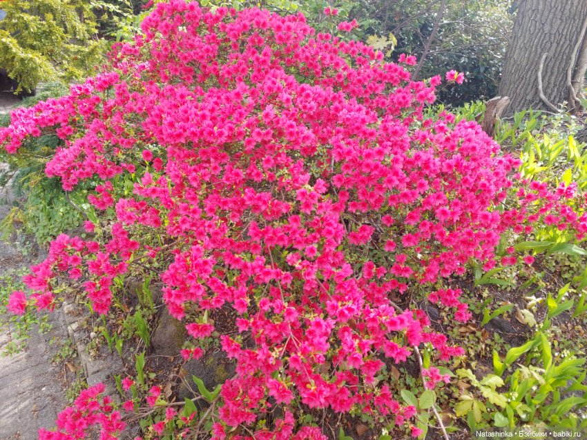 Fashion Dolls 349 — Туризм и путешествия: фотоотчеты из поездок