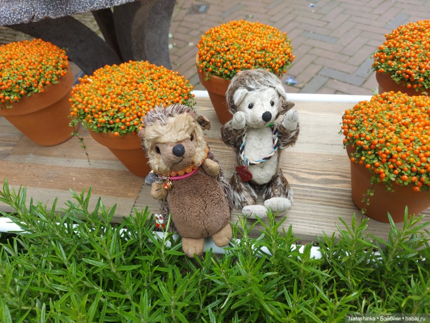 Fashion Dolls 349 — Туризм и путешествия: фотоотчеты из поездок (фото 3)