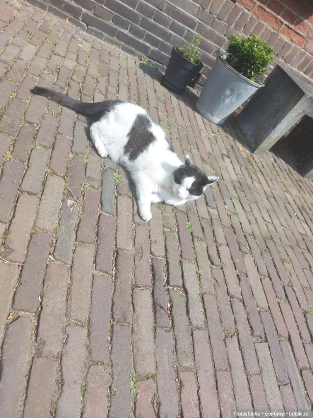 Fashion Dolls 349 — Туризм и путешествия: фотоотчеты из поездок