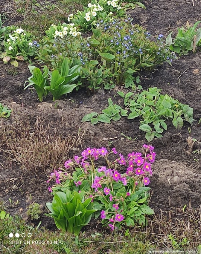 Куклы, весна, цветы — Винтажные куклы ГДР (Немки): Бигги (фото 10)