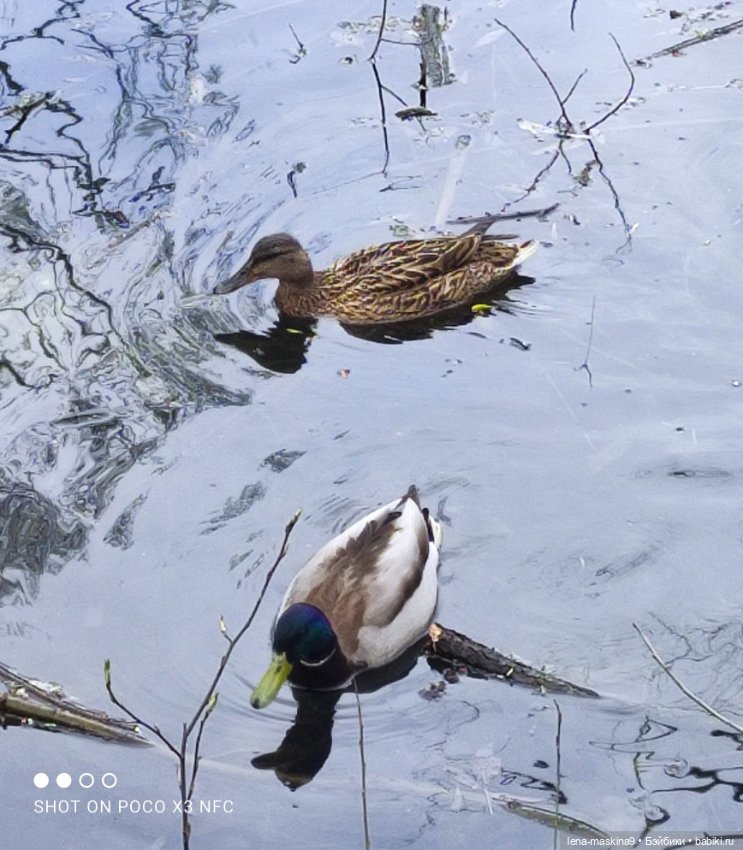 Куклы, весна, цветы — Винтажные куклы ГДР (Немки): Бигги (фото 6)