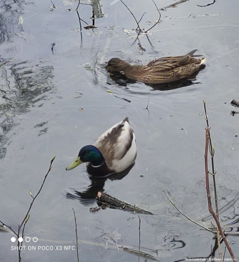 Куклы, весна, цветы — Винтажные куклы ГДР (Немки): Бигги (фото 7)