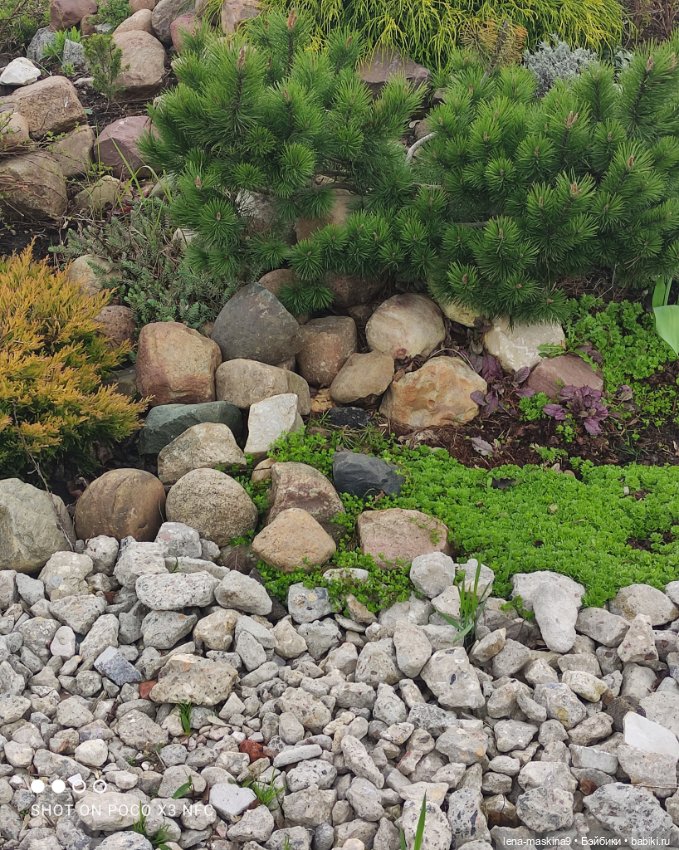 Куклы, весна, цветы — Винтажные куклы ГДР (Немки): Бигги