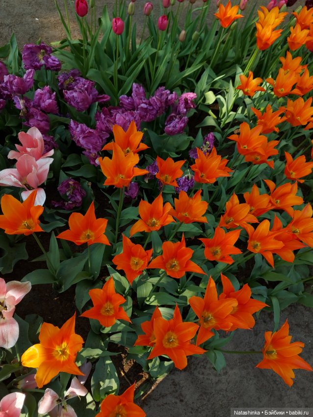 Fashion Dolls 350 — Туризм и путешествия: фотоотчеты из поездок (фото 3)