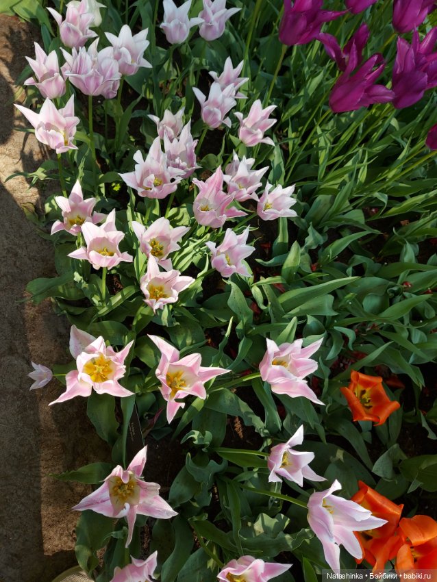 Fashion Dolls 350 — Туризм и путешествия: фотоотчеты из поездок (фото 6)