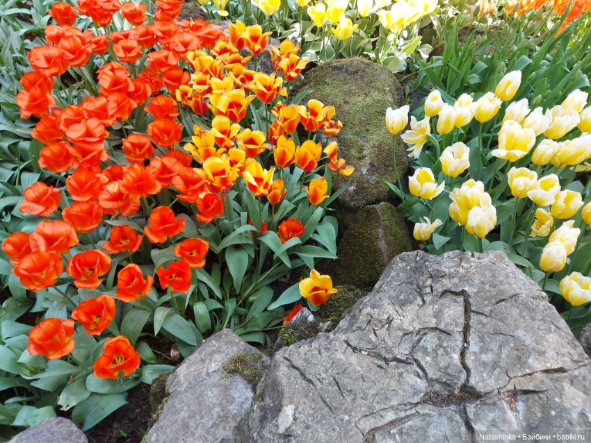 Fashion Dolls 350 — Туризм и путешествия: фотоотчеты из поездок