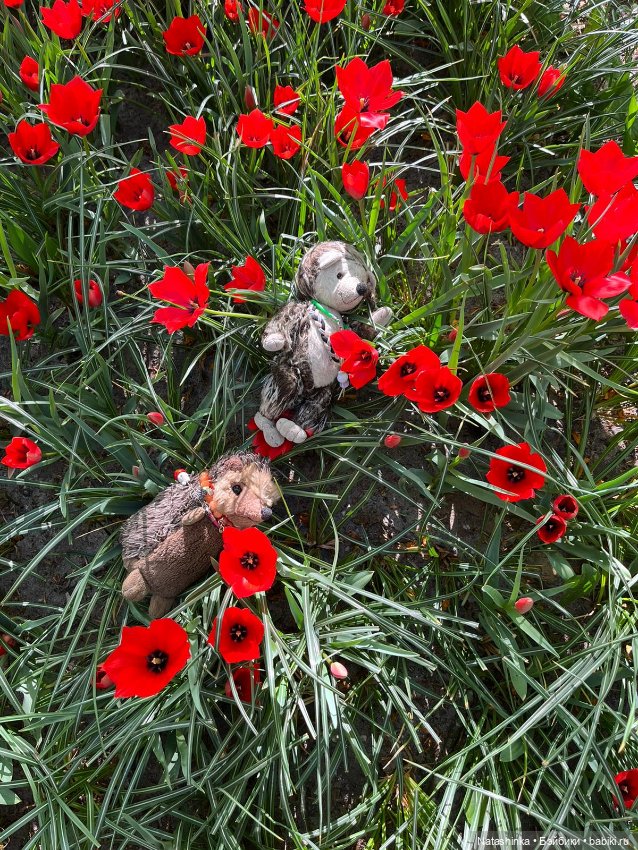 Fashion Dolls 350 — Туризм и путешествия: фотоотчеты из поездок