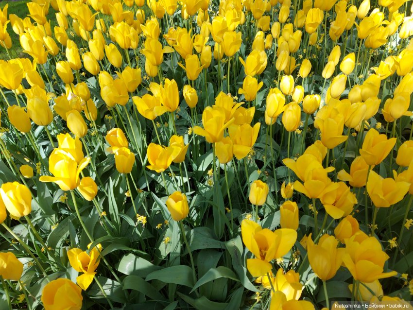 Fashion Dolls 350 — Туризм и путешествия: фотоотчеты из поездок