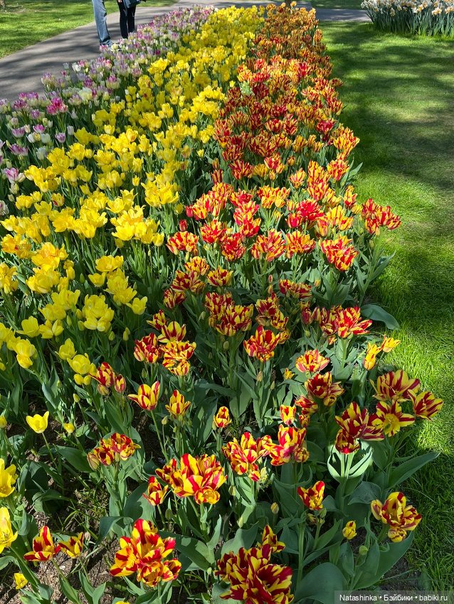 Fashion Dolls 350 — Туризм и путешествия: фотоотчеты из поездок