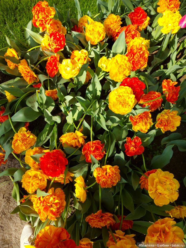 Fashion Dolls 350 — Туризм и путешествия: фотоотчеты из поездок (фото 8)