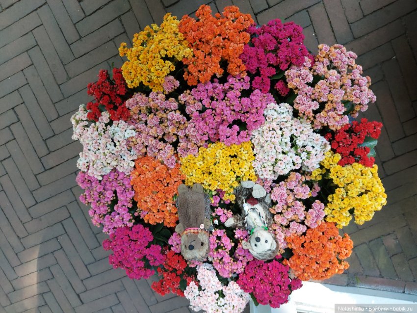 Fashion Dolls 350 — Туризм и путешествия: фотоотчеты из поездок (фото 10)