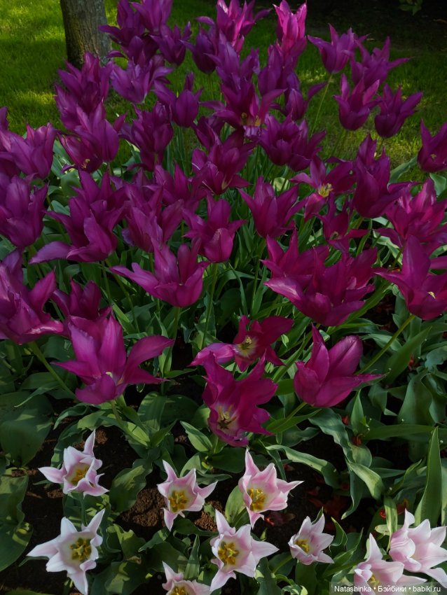 Fashion Dolls 350 — Туризм и путешествия: фотоотчеты из поездок (фото 7)