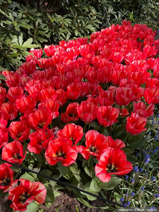 Fashion Dolls 350 — Туризм и путешествия: фотоотчеты из поездок