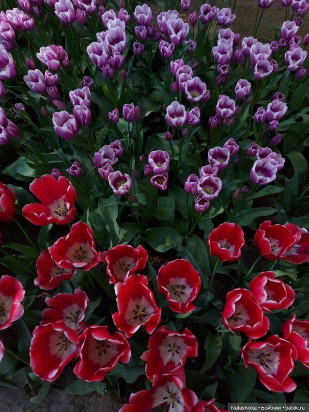 Fashion Dolls 350 — Туризм и путешествия: фотоотчеты из поездок (фото 9)