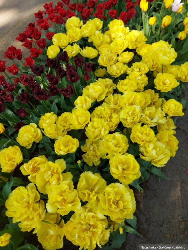 Fashion Dolls 350 — Туризм и путешествия: фотоотчеты из поездок (фото 4)