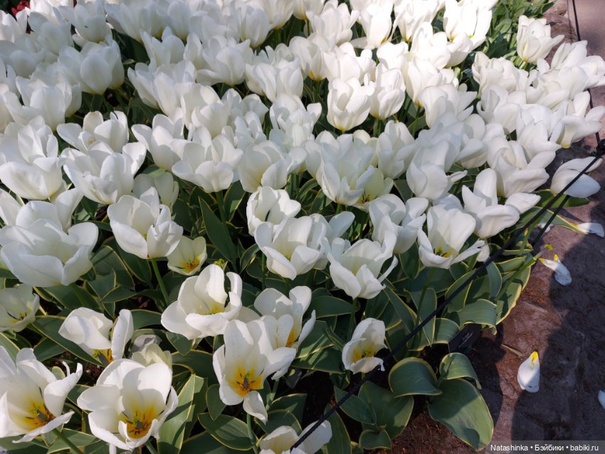 Fashion Dolls 350 — Туризм и путешествия: фотоотчеты из поездок