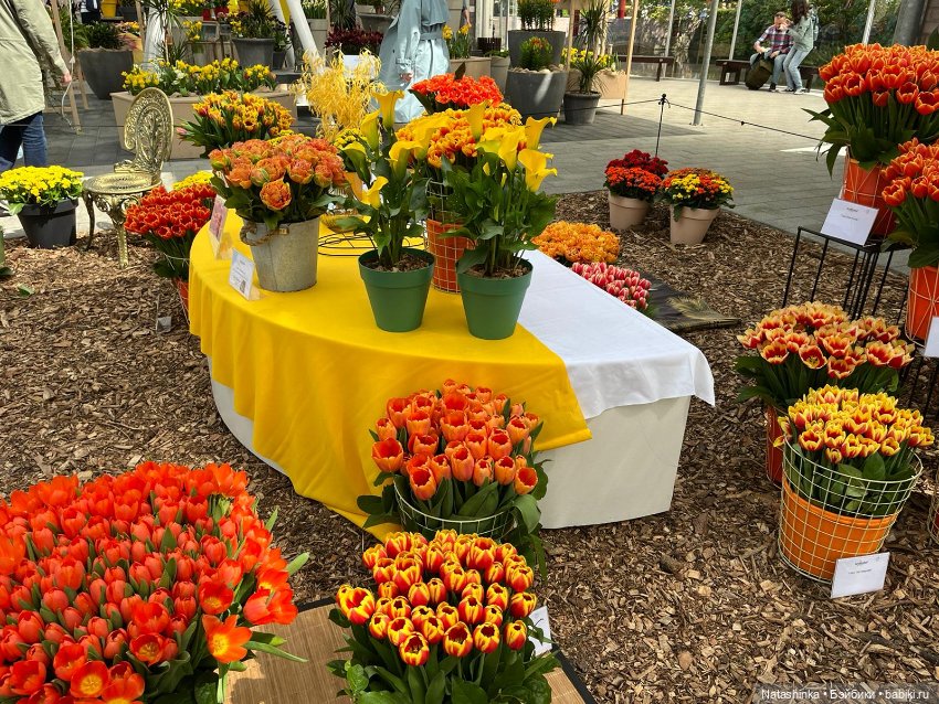 Fashion Dolls 350 — Туризм и путешествия: фотоотчеты из поездок