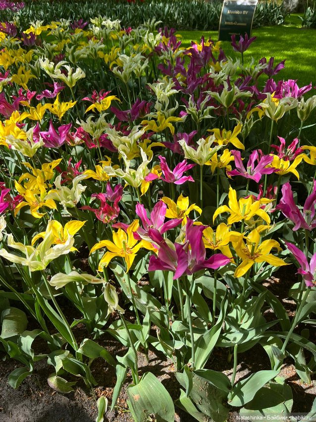 Fashion Dolls 350 — Туризм и путешествия: фотоотчеты из поездок