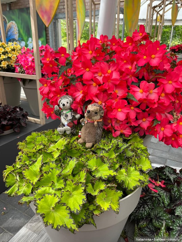 Fashion Dolls 350 — Туризм и путешествия: фотоотчеты из поездок