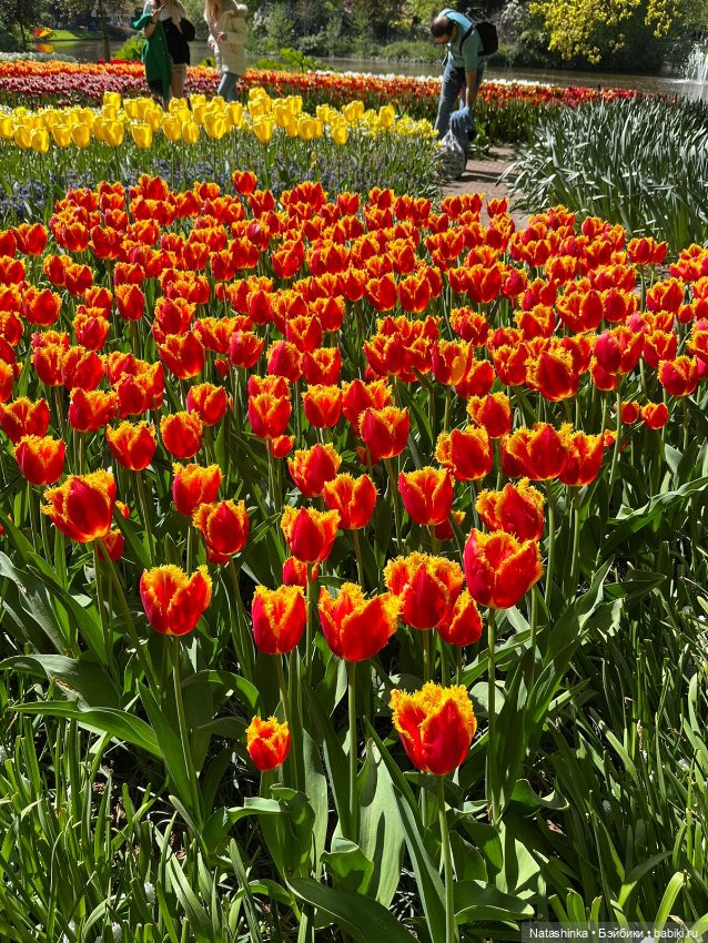 Fashion Dolls 350 — Туризм и путешествия: фотоотчеты из поездок