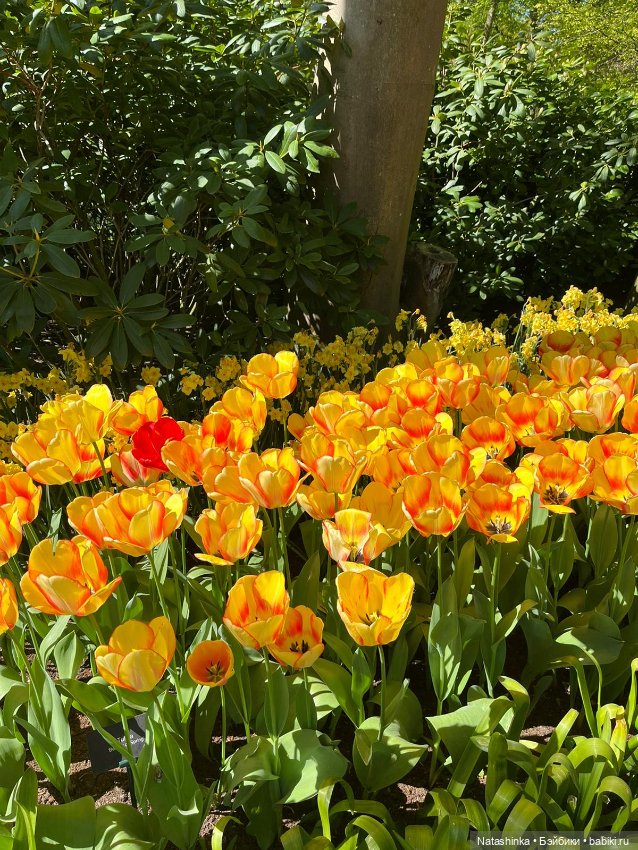 Fashion Dolls 350 — Туризм и путешествия: фотоотчеты из поездок