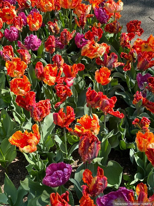 Fashion Dolls 350 — Туризм и путешествия: фотоотчеты из поездок