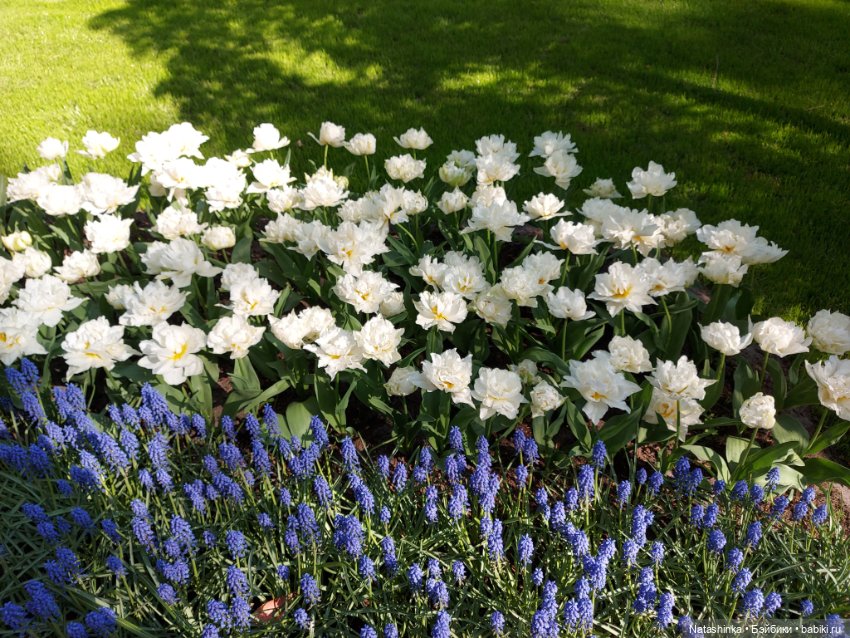 Fashion Dolls 350 — Туризм и путешествия: фотоотчеты из поездок