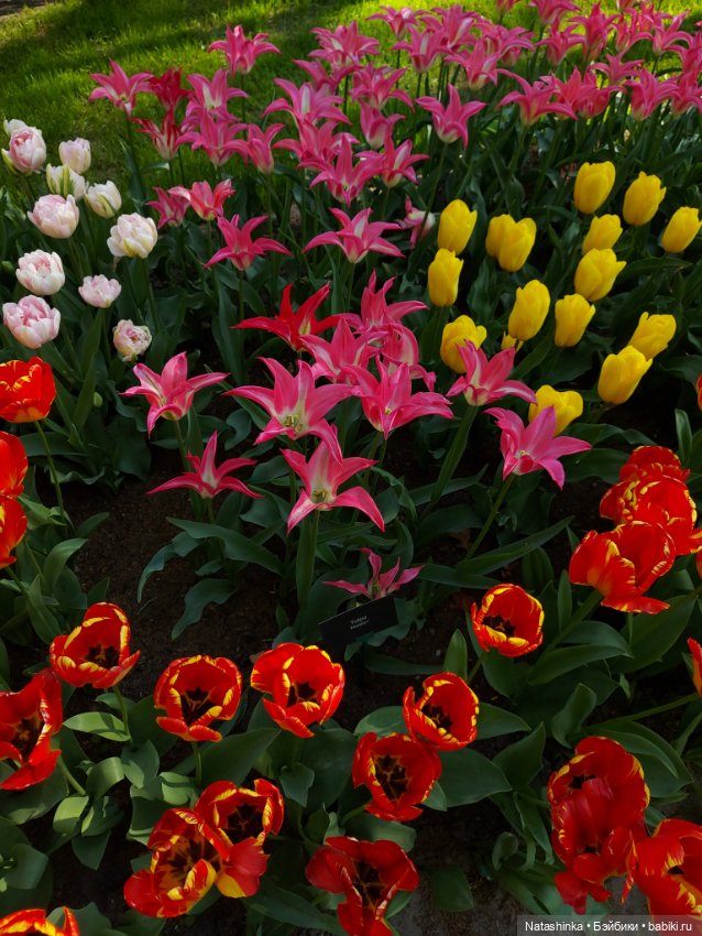 Fashion Dolls 350 — Туризм и путешествия: фотоотчеты из поездок (фото 5)