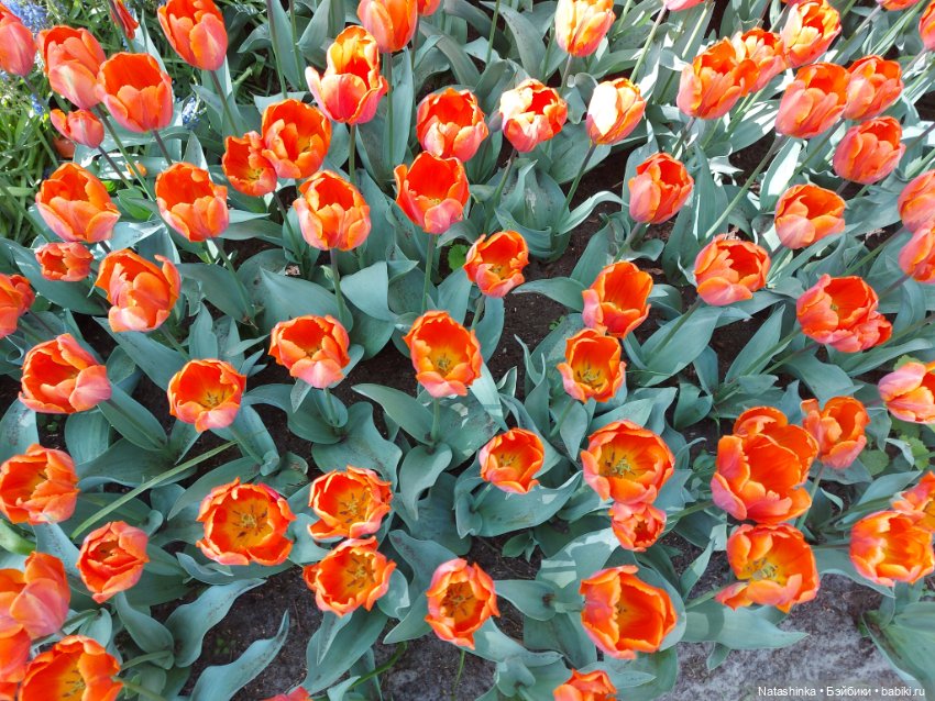 Fashion Dolls 350 — Туризм и путешествия: фотоотчеты из поездок