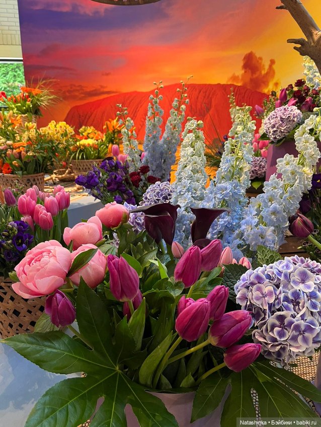 Fashion Dolls 350 — Туризм и путешествия: фотоотчеты из поездок