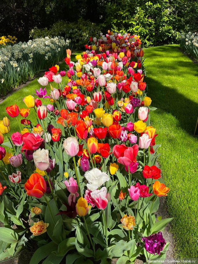 Fashion Dolls 350 — Туризм и путешествия: фотоотчеты из поездок