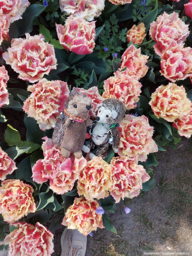 Fashion Dolls 350 — Туризм и путешествия: фотоотчеты из поездок