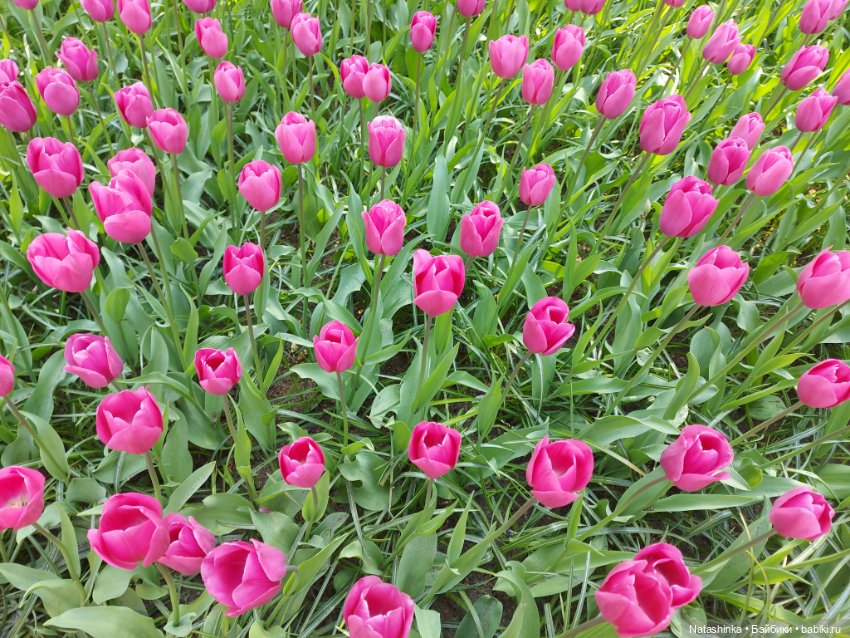 Fashion Dolls 350 — Туризм и путешествия: фотоотчеты из поездок