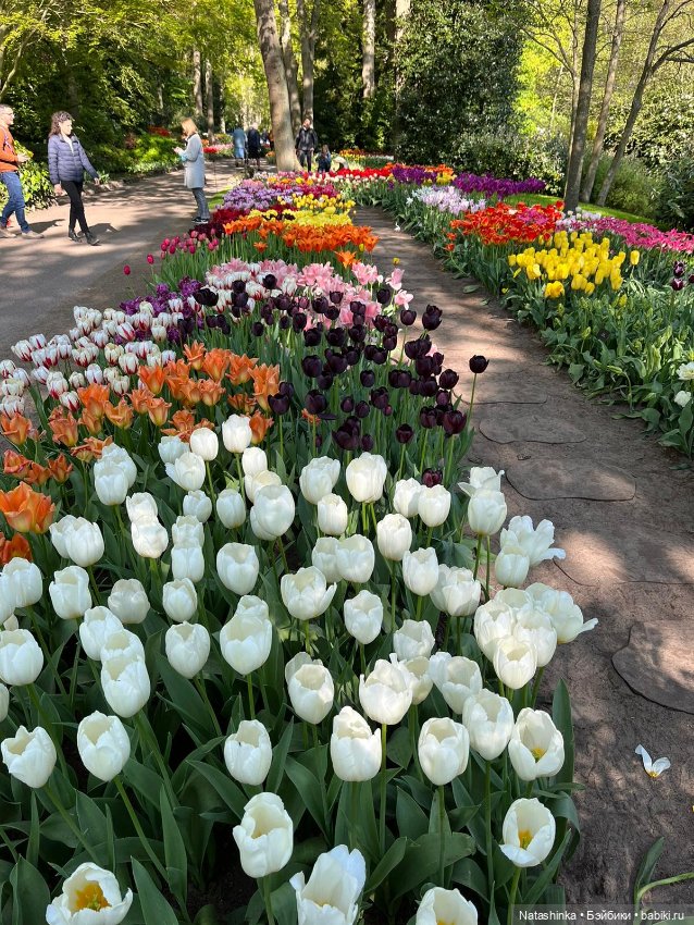 Fashion Dolls 350 — Туризм и путешествия: фотоотчеты из поездок