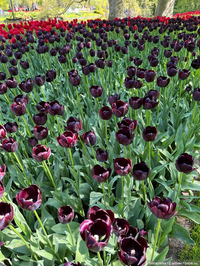 Fashion Dolls 350 — Туризм и путешествия: фотоотчеты из поездок