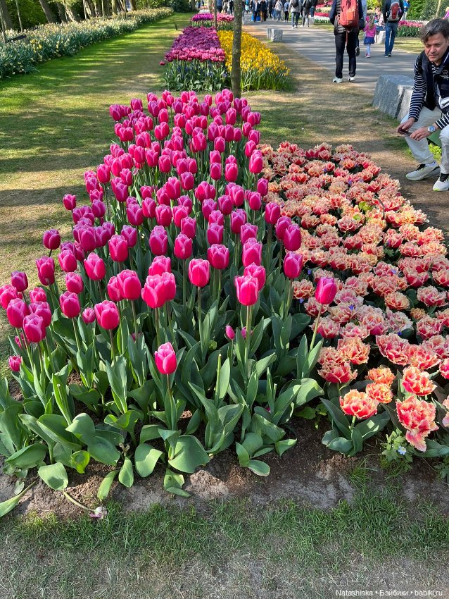 Fashion Dolls 350 — Туризм и путешествия: фотоотчеты из поездок