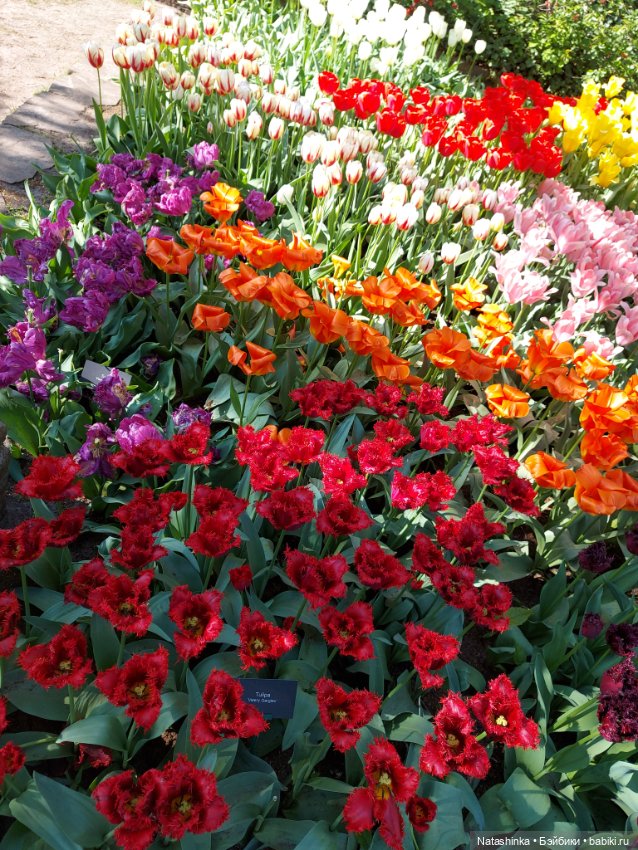 Fashion Dolls 350 — Туризм и путешествия: фотоотчеты из поездок (фото 2)