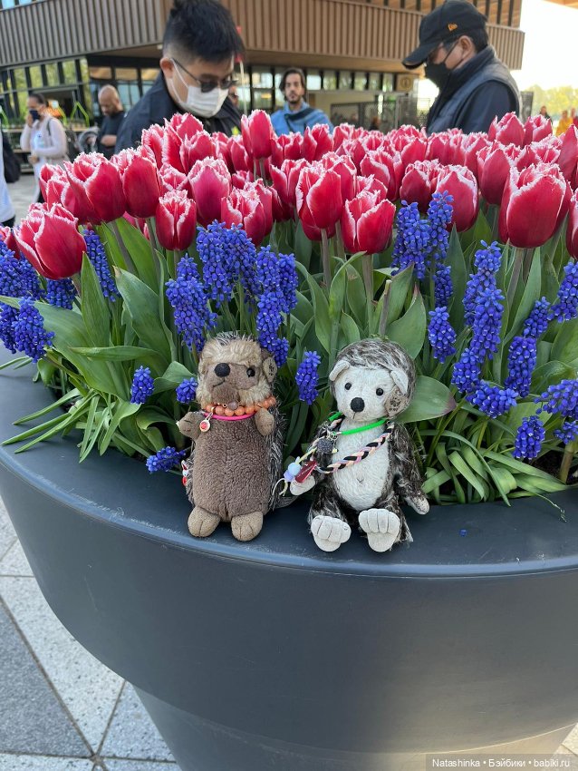 Fashion Dolls 350 — Туризм и путешествия: фотоотчеты из поездок