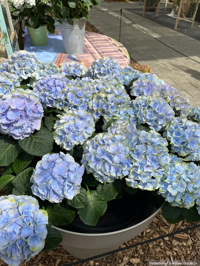 Fashion Dolls 350 — Туризм и путешествия: фотоотчеты из поездок