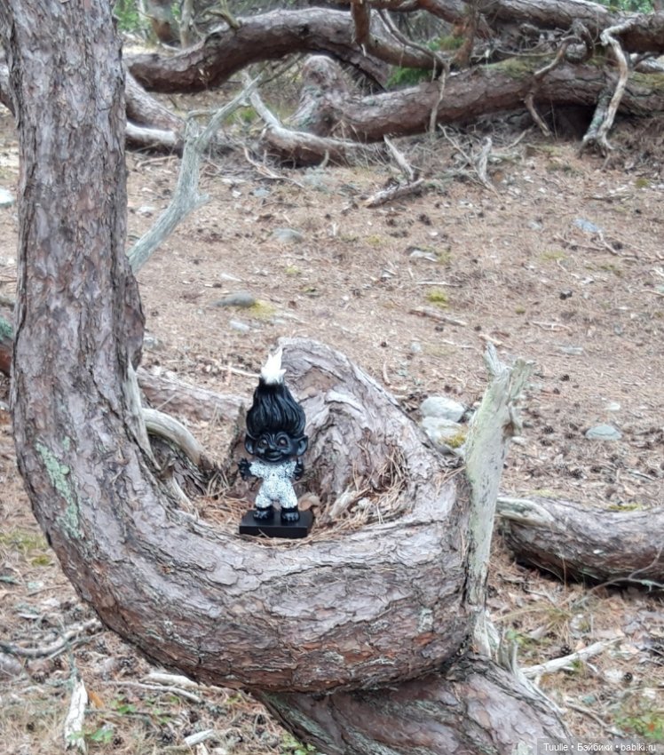 Короткая поездка в Швецию. Тролль на острове Оланд (фото 4)