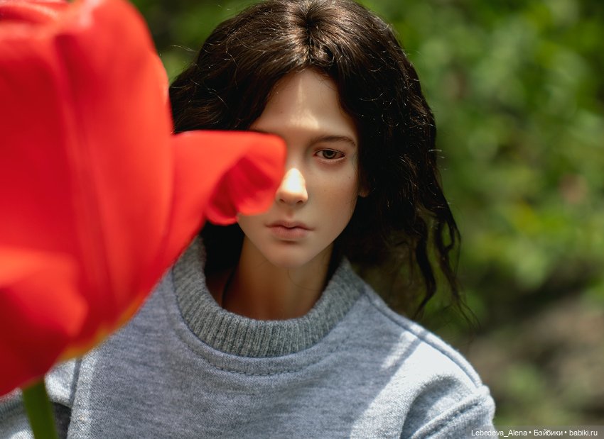 Ян, весеннее — Куклы Dollshe Craft (Доллше): BJD (БЖД)