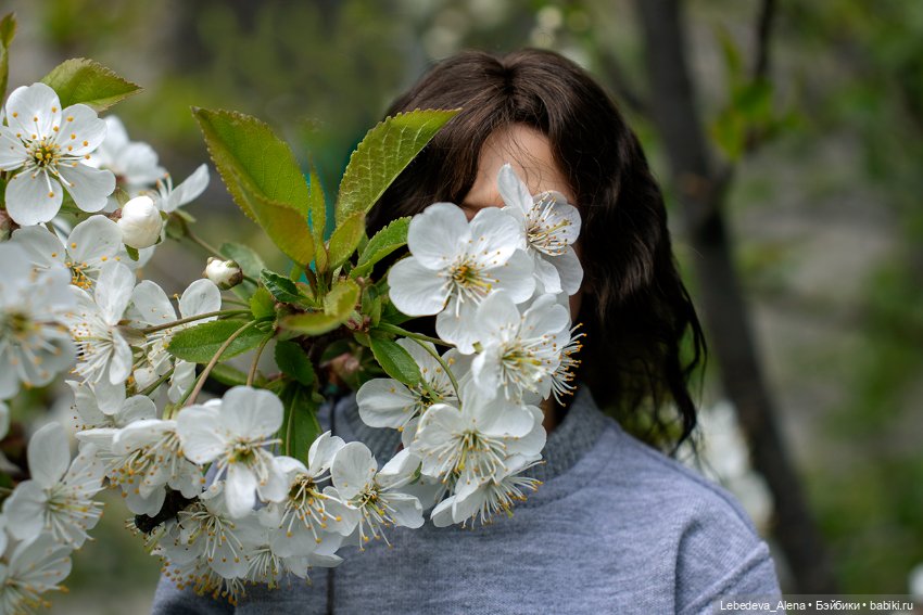 Ян, весеннее — Куклы Dollshe Craft (Доллше): BJD (БЖД) (фото 3)