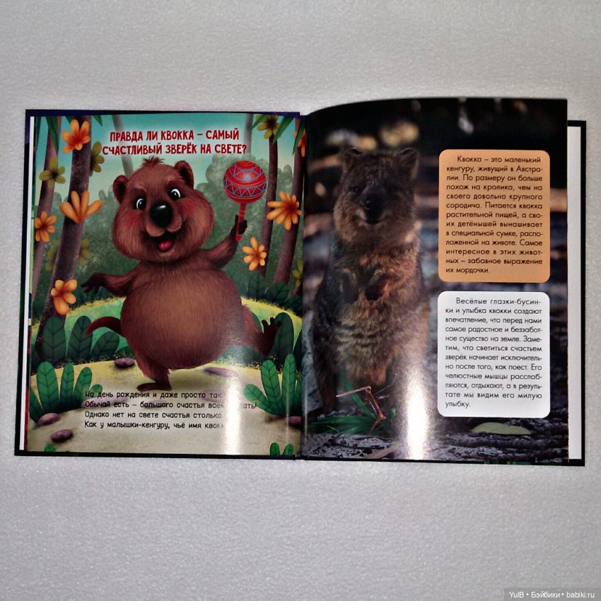 ...Зачем светлячку фонарик (фото 5)