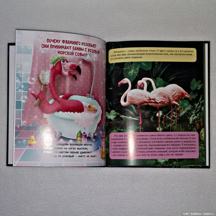 ...Зачем светлячку фонарик