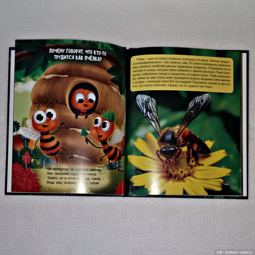 ...Зачем светлячку фонарик (фото 2)