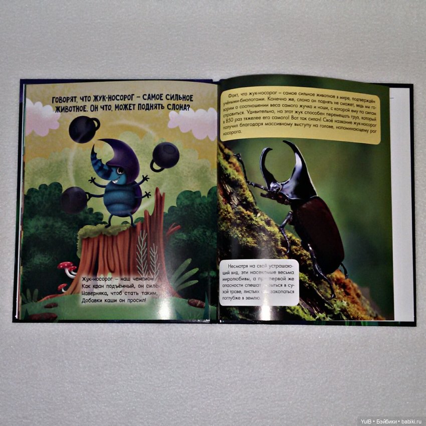 ...Зачем светлячку фонарик (фото 6)