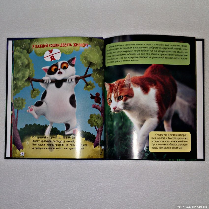 ...Зачем светлячку фонарик (фото 4)