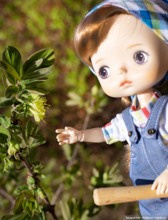 Мир-труд-май! Все в огород (фото 3)